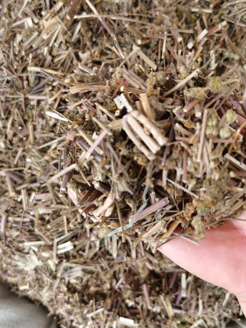 荊芥新货无硫无杂质产地直销量大优惠