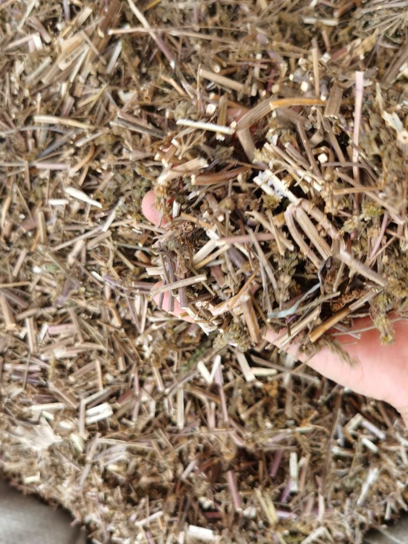 荊芥新货无硫无杂质产地直销量大优惠