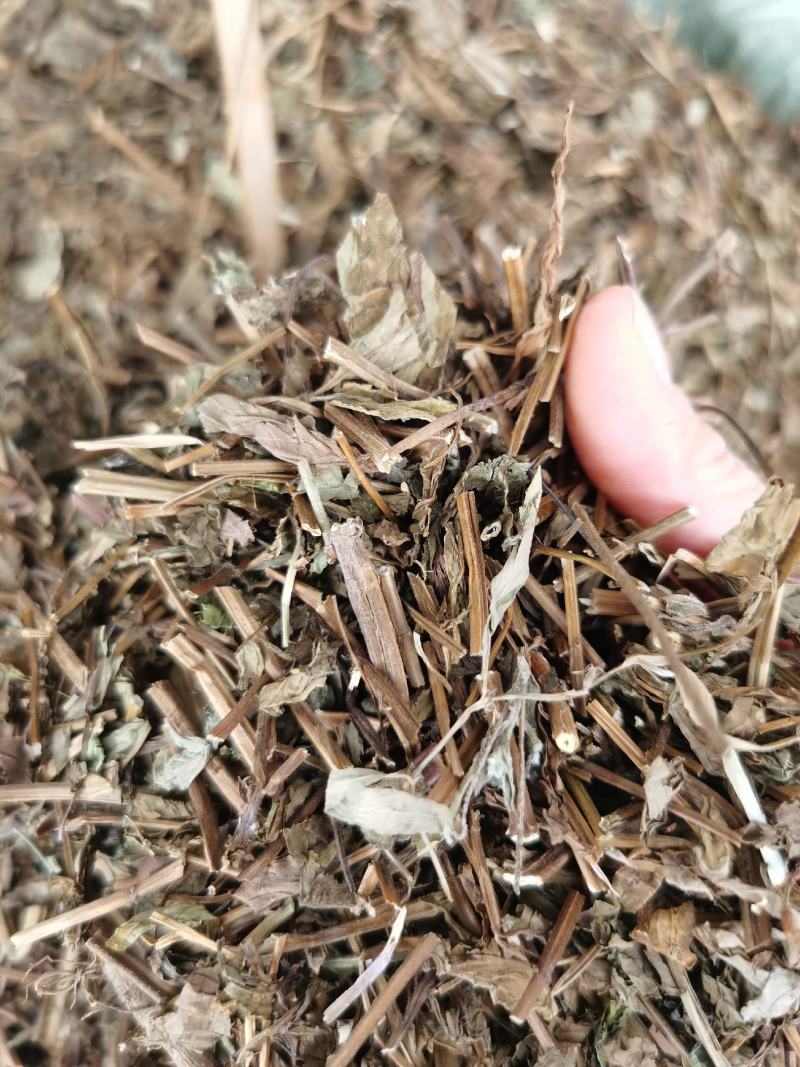 荊芥新货无硫无杂质产地直销量大优惠