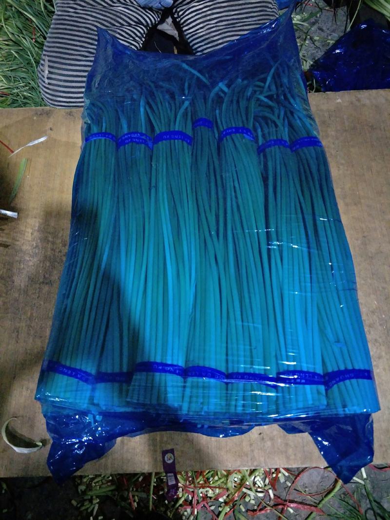 山东红帽蒜薹冷库供应原包装货源足品质佳全国批发商超品质
