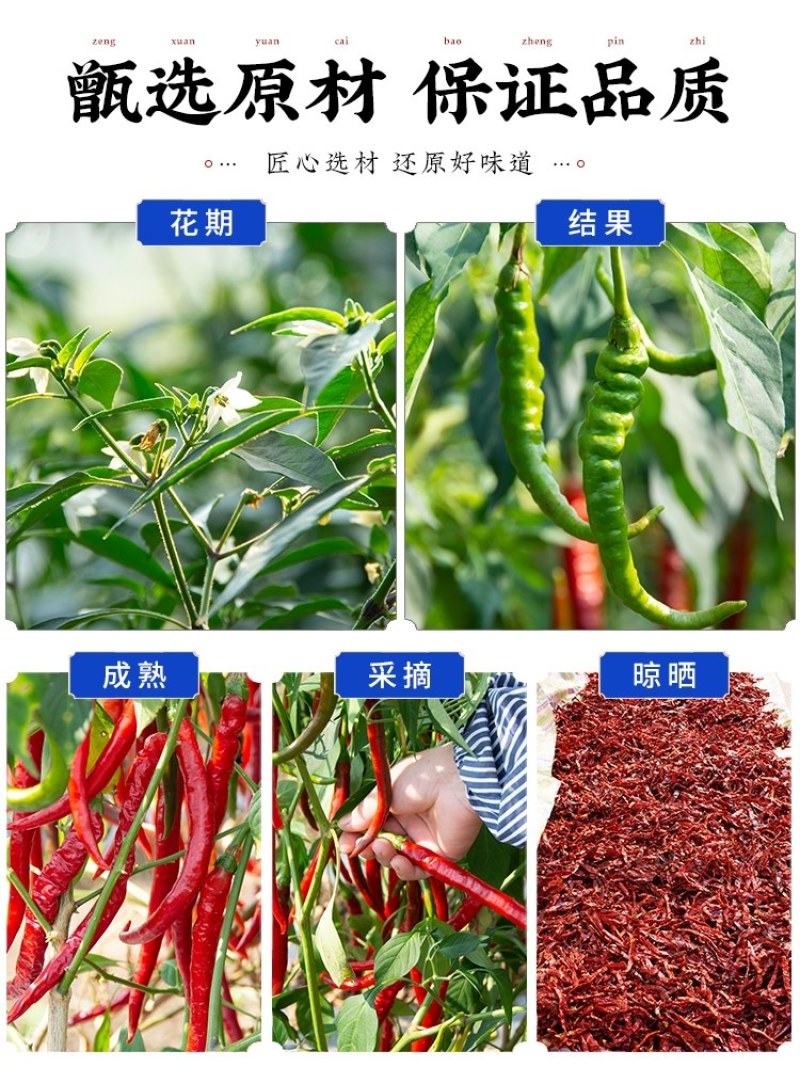 二荆条香辣椒微辣辣椒段辣椒面