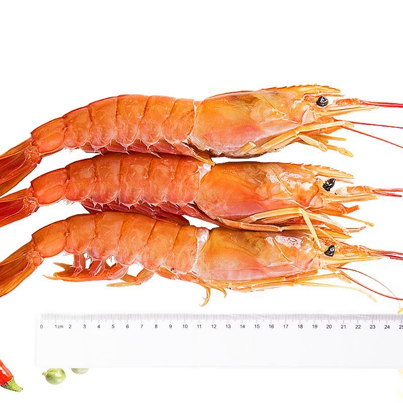 特大阿根廷红虾L1大码，2kg/包邮发冷链