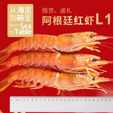 特大阿根廷红虾L1大码，2kg/包邮发冷链