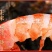 特大阿根廷红虾L1大码，2kg/包邮发冷链