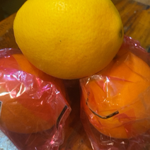 香南橙子脐橙欢迎批发商电商合作