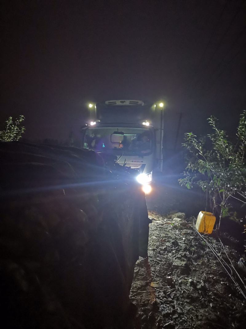 大量出售35，无虫眼无麻点