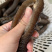 澳洲赤虫（淡干货，发量8倍以上，无烂，水发供应）