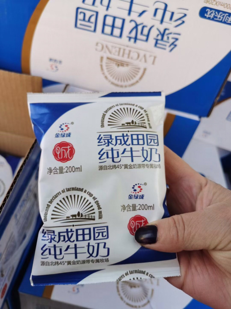 新疆金绿成纯牛奶20包200ml规格硬袋60天保质期