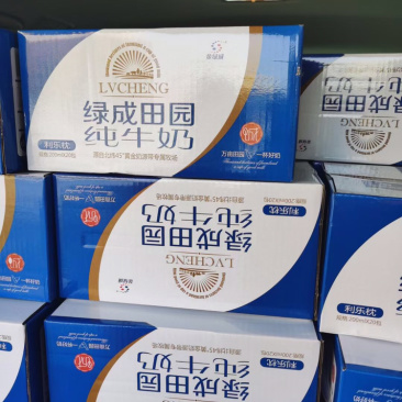 新疆金绿成纯牛奶20包200ml规格硬袋60天保质期