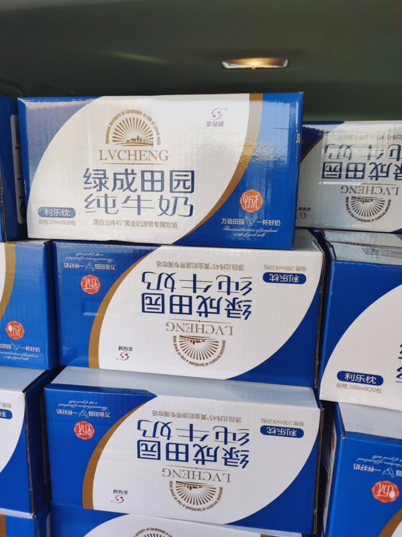 新疆金绿成纯牛奶20包200ml规格硬袋60天保质期
