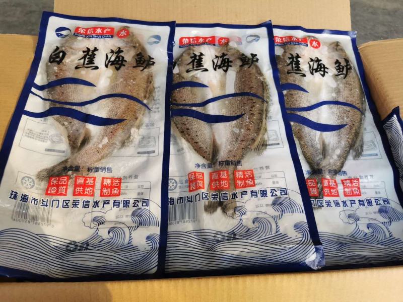 开背白蕉海鲈鱼，微商团购，酒店