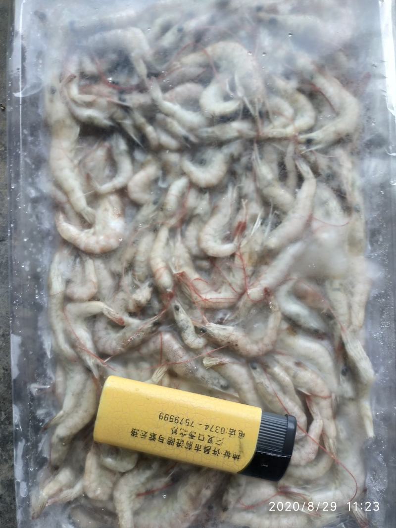 小河虾400条，炸小虾