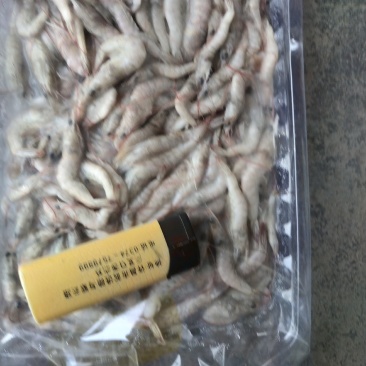 小河虾400条，炸小虾