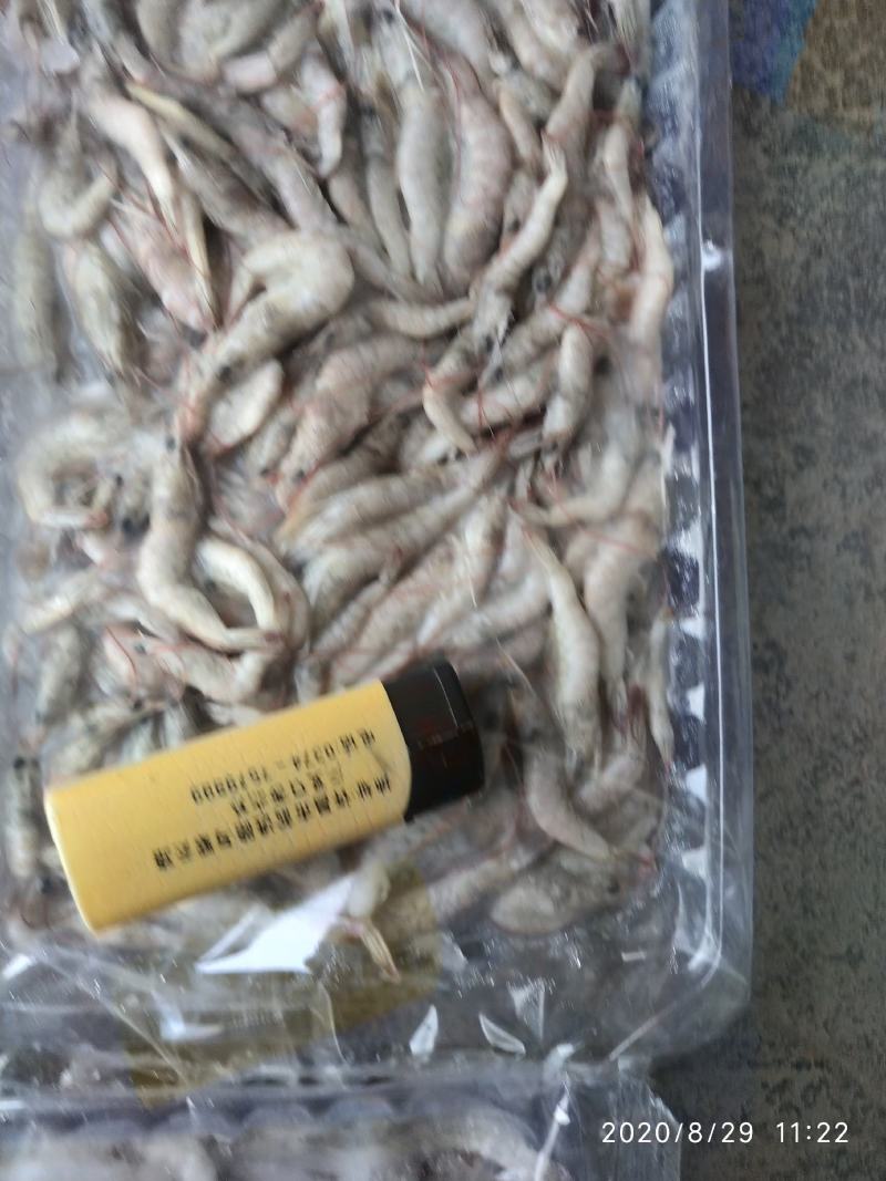 小河虾400条，炸小虾