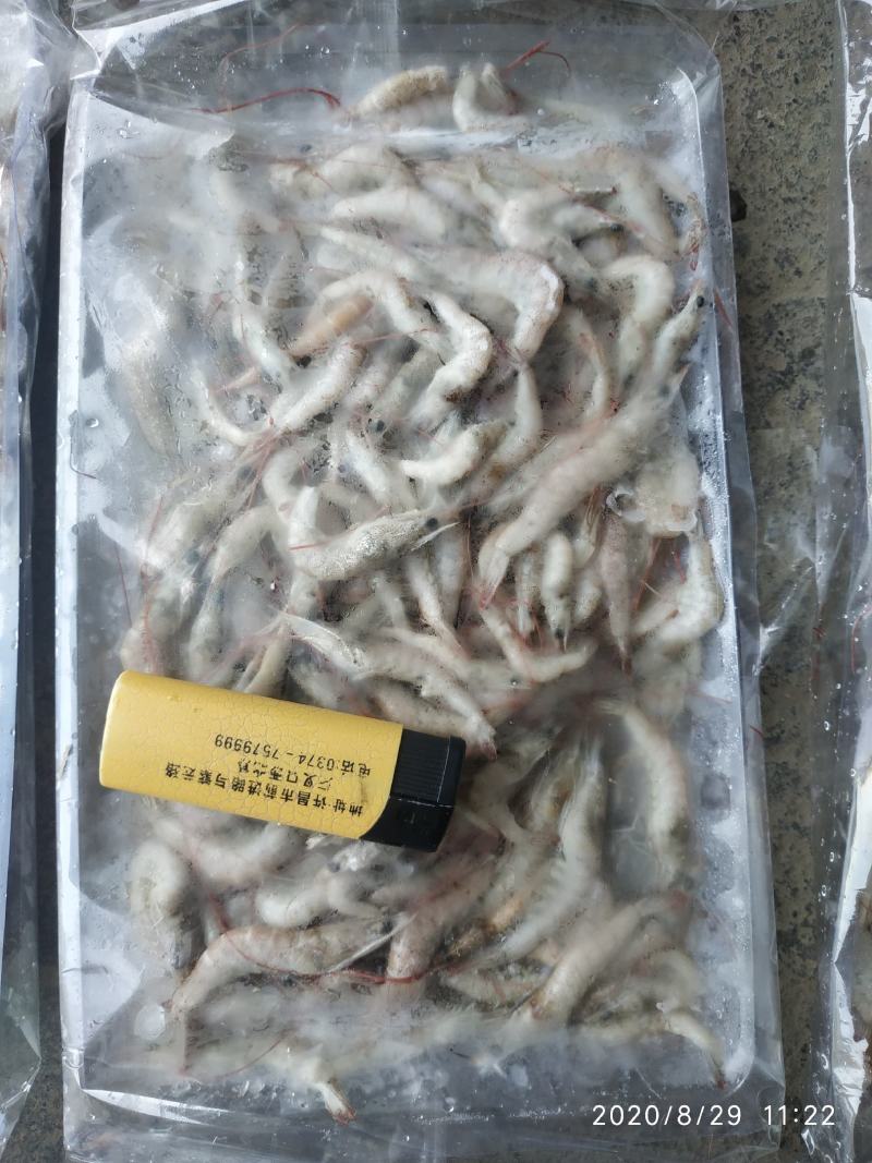 小河虾400条，炸小虾