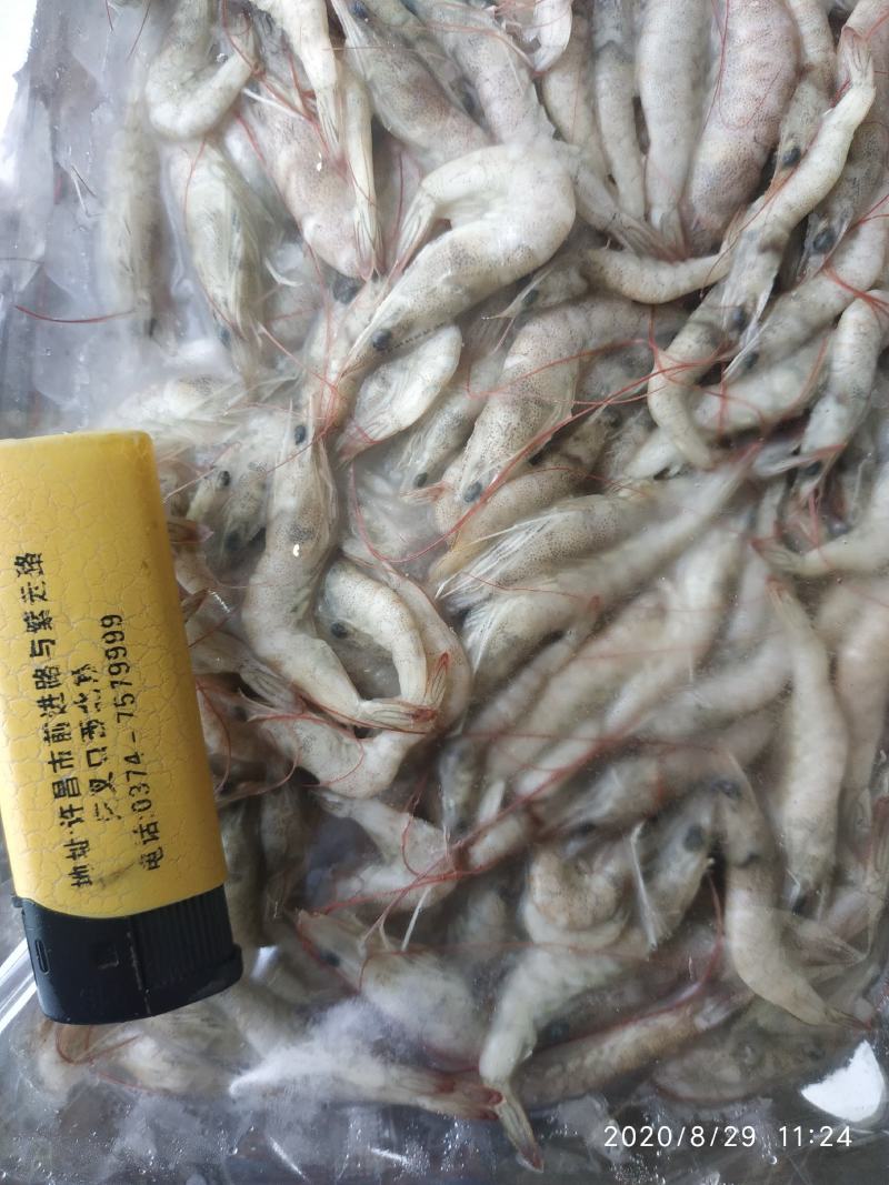 小河虾400条，炸小虾