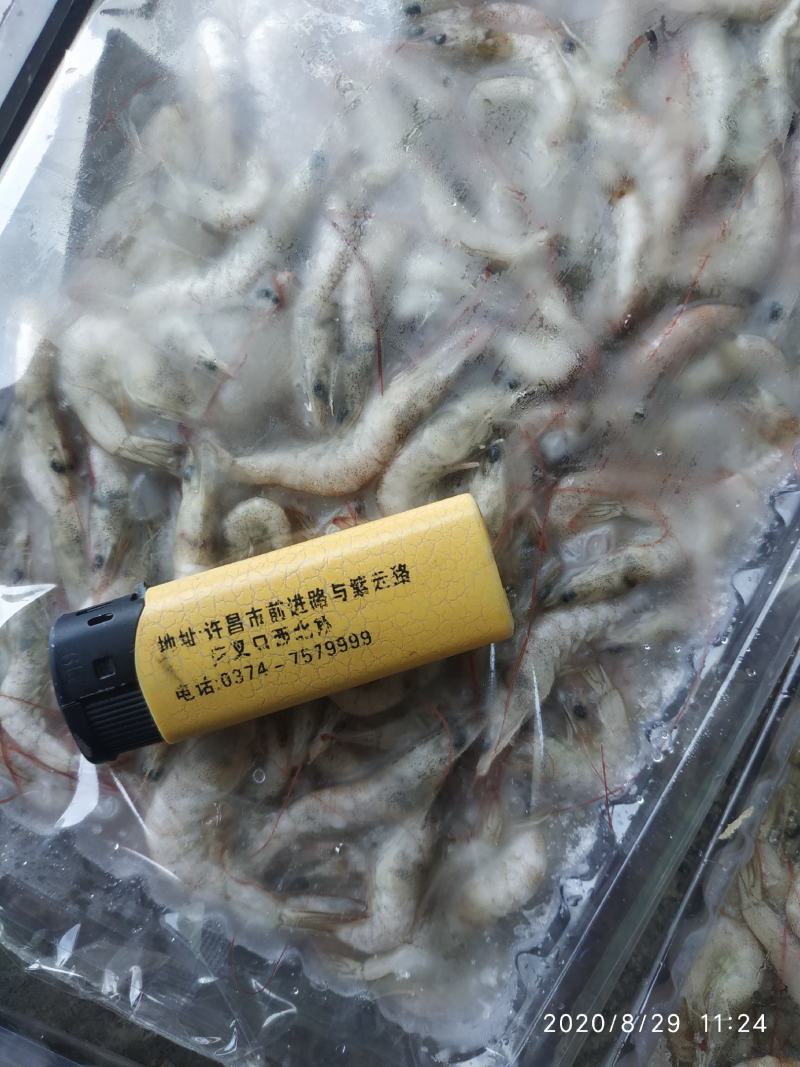 小河虾400条，炸小虾