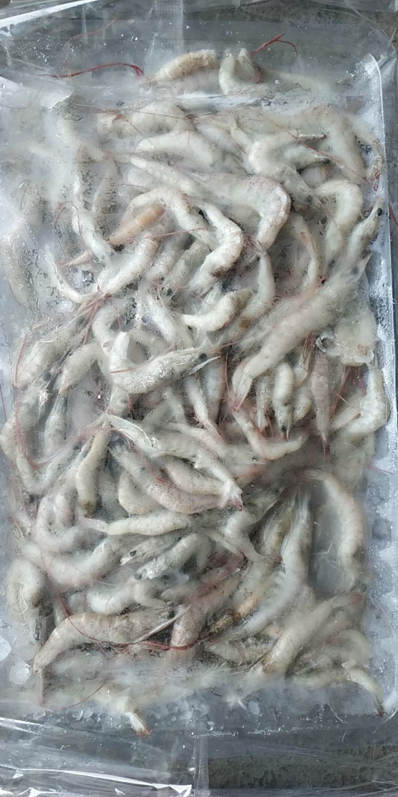 小河虾400条，炸小虾