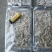 小河虾400条，炸小虾