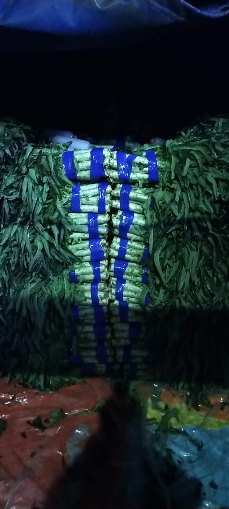 红尖叶莴苣皮青，皮薄颜色鲜艳