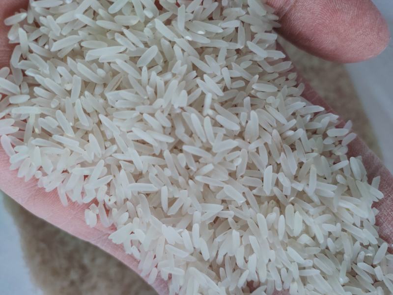 象牙米桂林市厂家直销，砂锅饭煲仔饭专用米