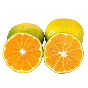 【现摘现发】蜜桔高山蜜橘桔子应季新鲜孕妇水果青皮橘子酸甜