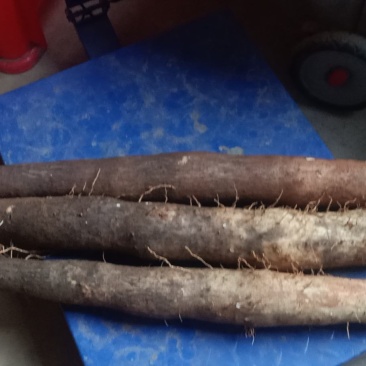 广西桂林黑美人山药价格不贵，大量有货，欢迎咨询采购