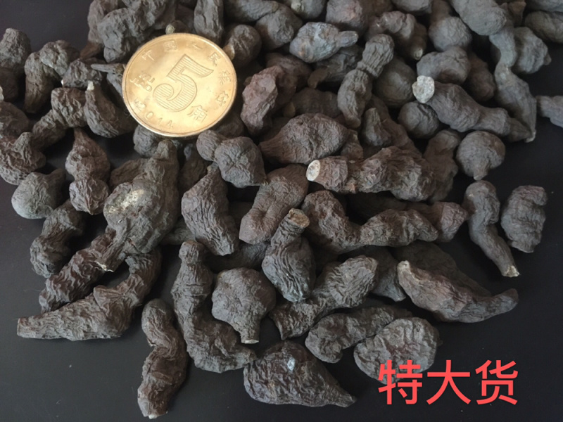 野生蕨麻批发原产地直销量大可优惠甘肃岷县