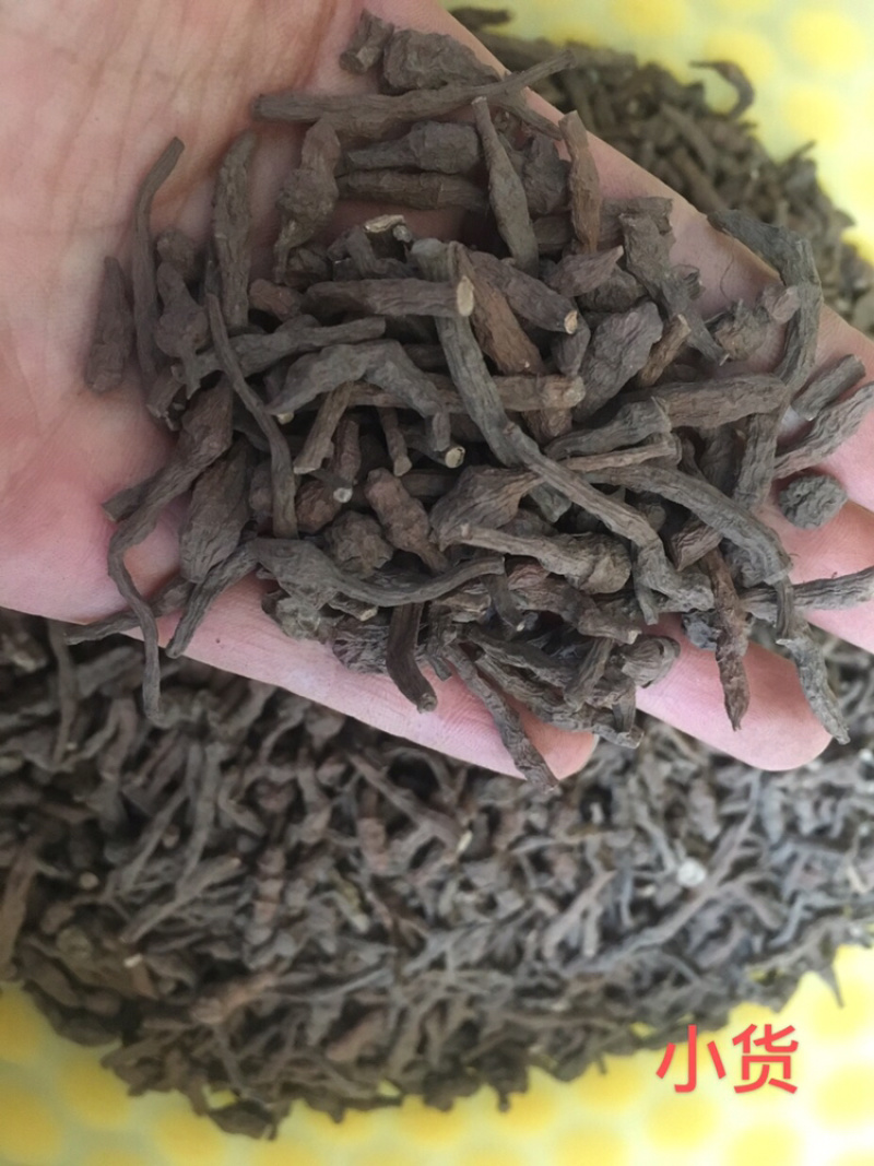 野生蕨麻批发原产地直销量大可优惠甘肃岷县