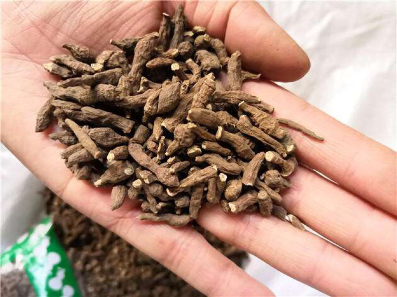 野生蕨麻批发原产地直销量大可优惠甘肃岷县