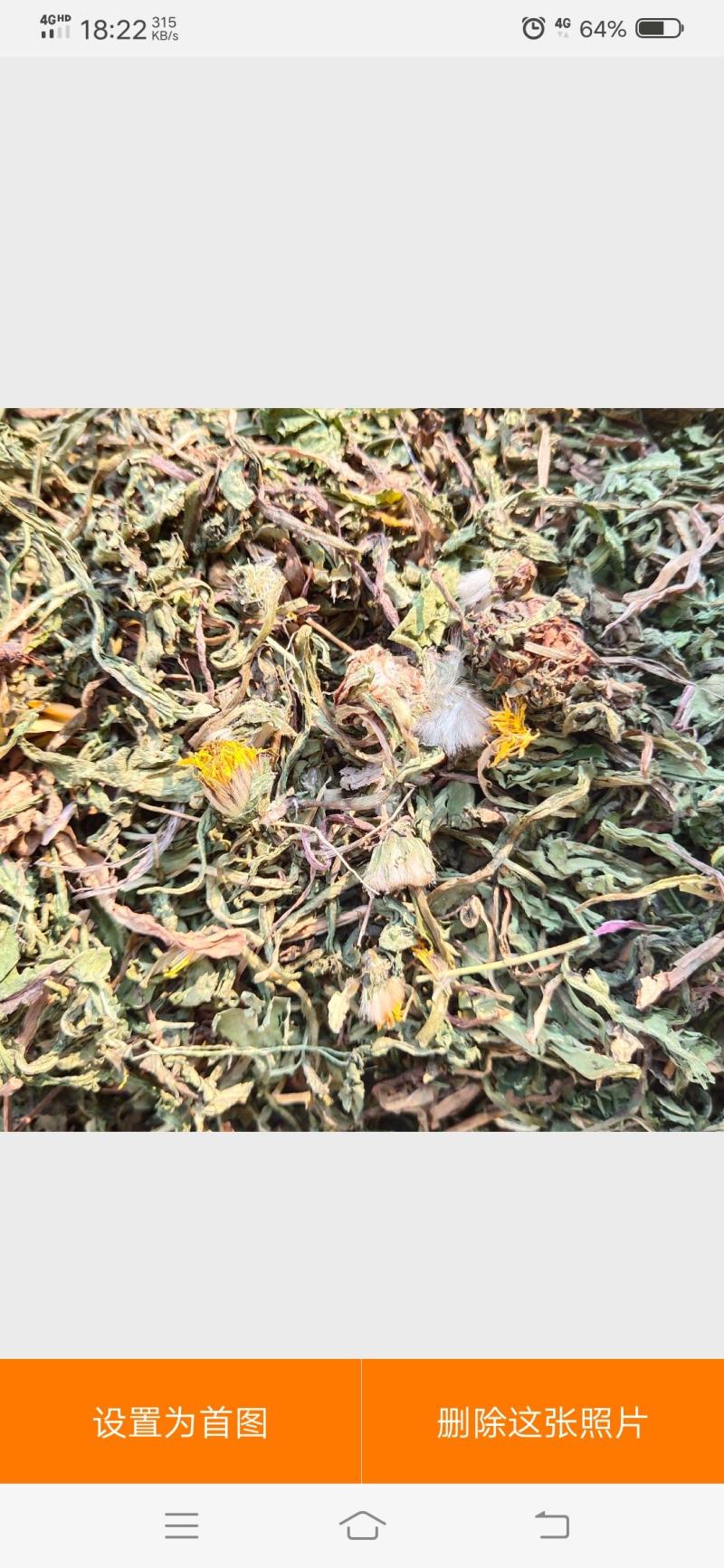 柴胡柴胡苗竹节柴胡新货颜色绿关书药业