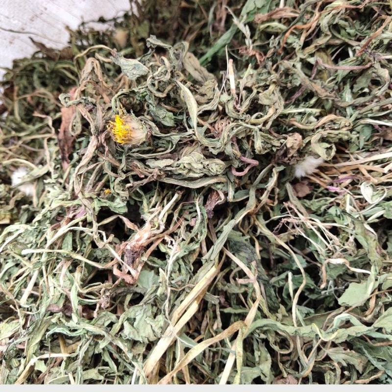 柴胡柴胡苗竹节柴胡新货颜色绿关书药业