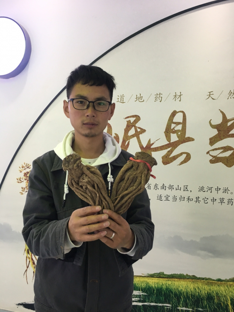 中国岷县闾井当归原产地直销精品当归