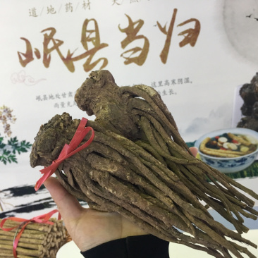 中国岷县闾井当归原产地直销精品当归
