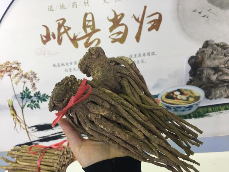 中国岷县闾井当归原产地直销精品当归