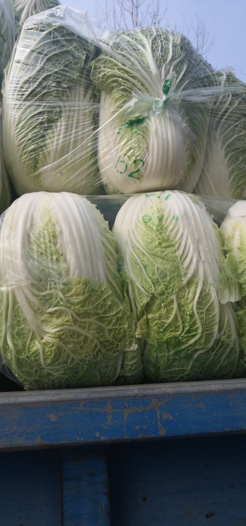 白菜黄心大白菜，湖北白菜大量供货，平价批发欢迎电话联系