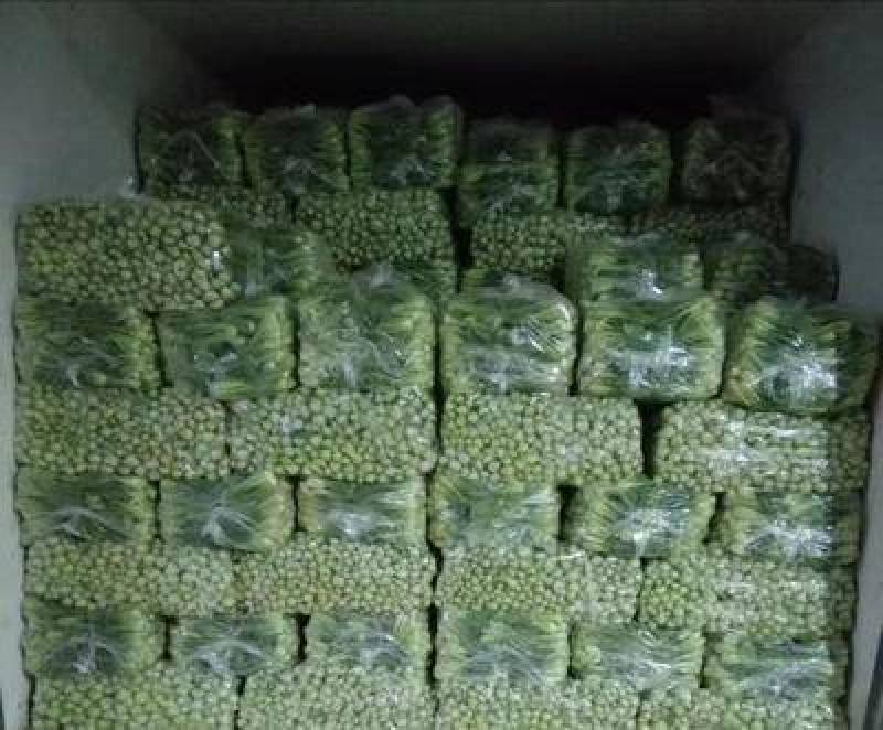 上海青油菜青梗青叶产地直供永不断货可提供增发票