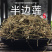 半边莲量大从优产地直销批发各种中药材