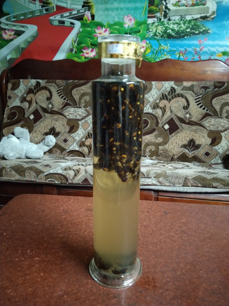 虎头蜂纯野生活蜂视频挑货