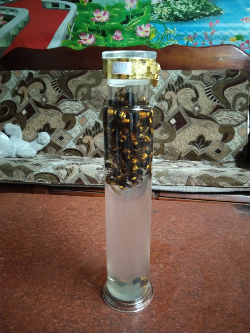 虎头蜂纯野生活蜂视频挑货
