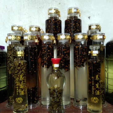 虎头蜂纯野生活蜂视频挑货
