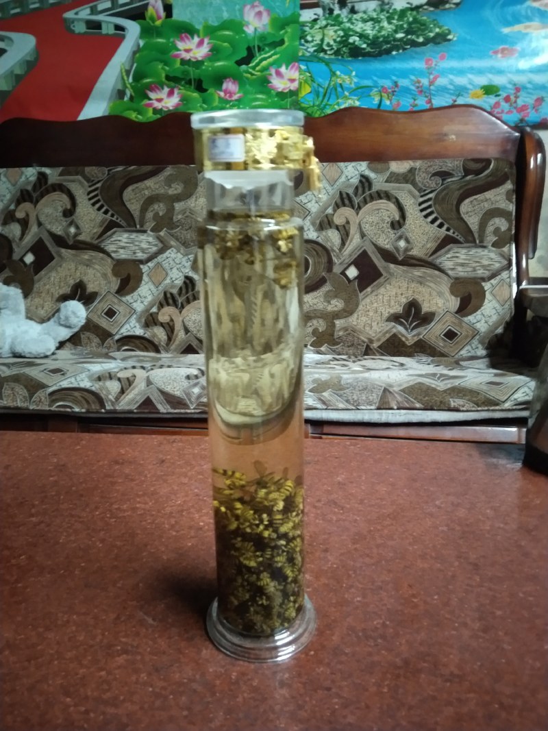 虎头蜂纯野生活蜂视频挑货