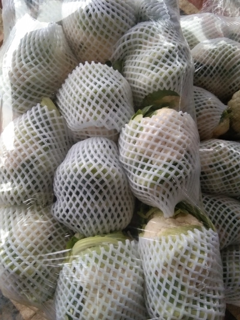 精品菜花，价格优惠，诚信合作！