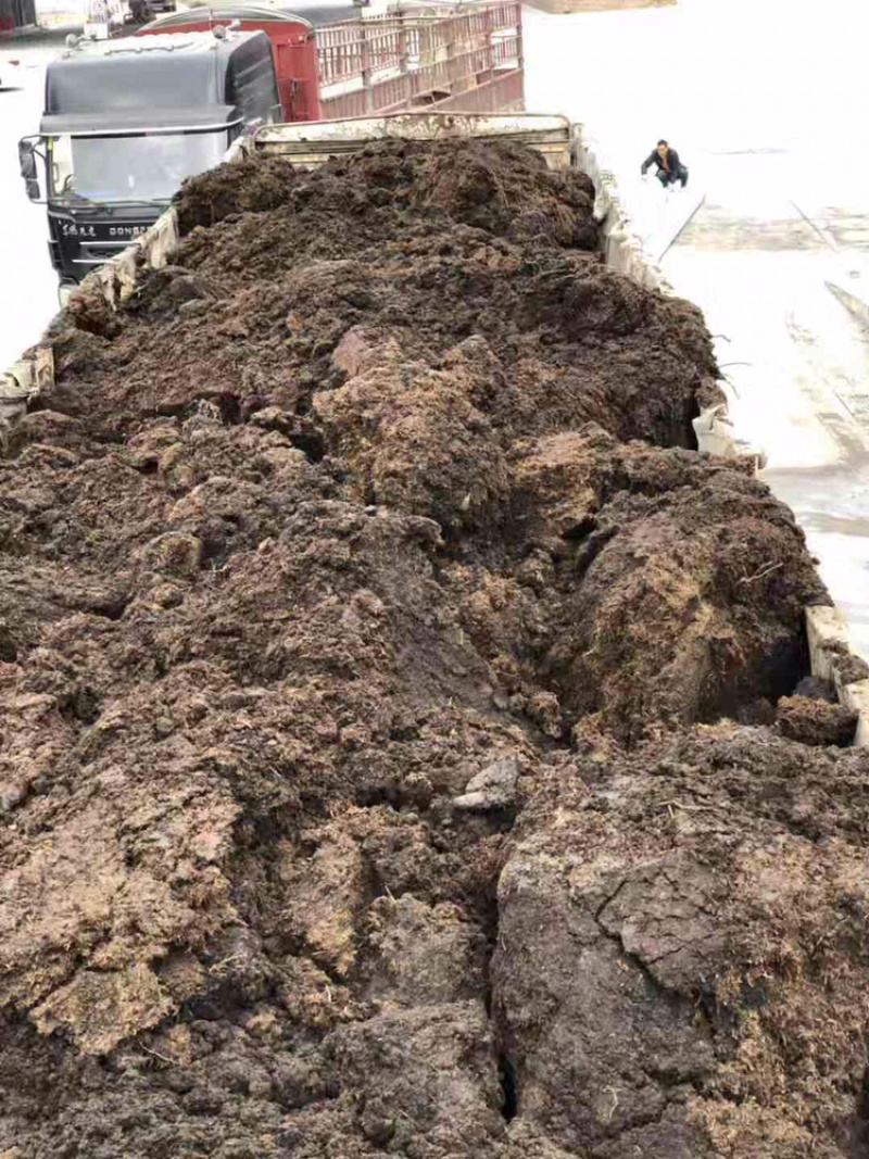 草炭土草原泥炭土泥肥营养土，泥炭土