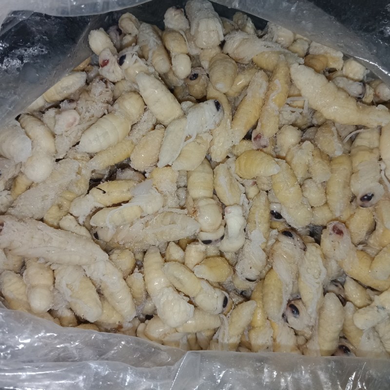 虎头蜂，老蜂，蜂蛹。质量你定，价钱我开