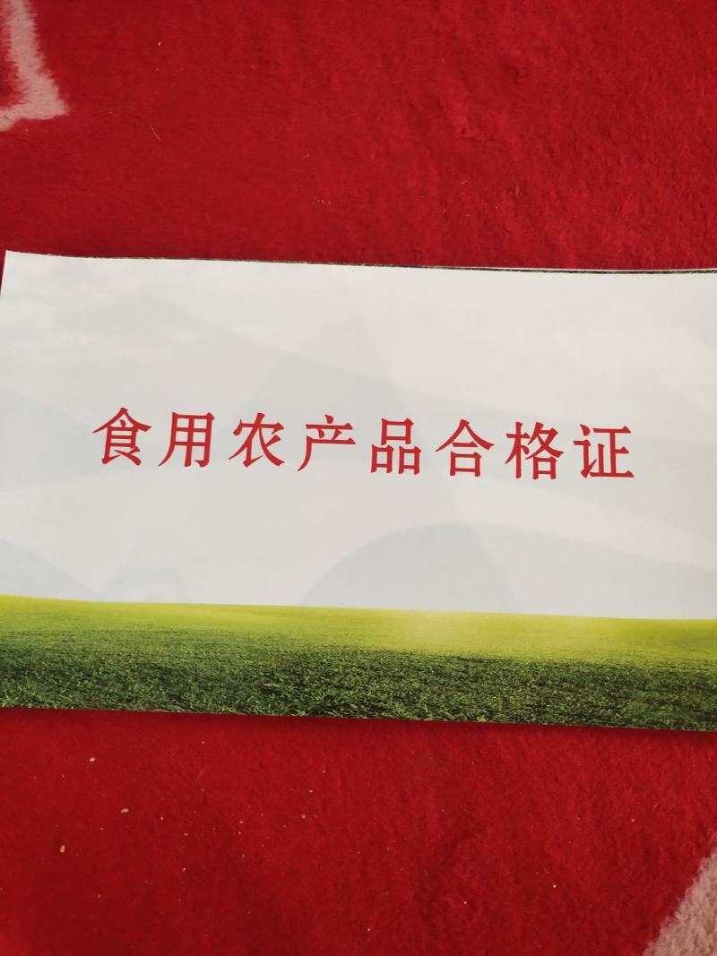 【西洋参软支片】自产自加工西洋参纯软支片大全