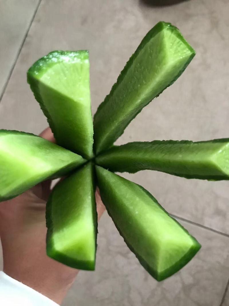 精品水果萝卜，青萝卜，白玉萝卜，工厂货，腌制厂，大量接单