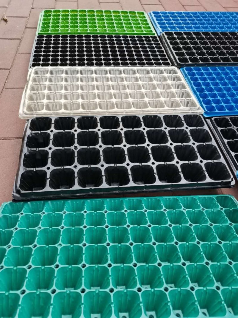pet材料32，50，72，105穴，育苗穴盘，一手货源。