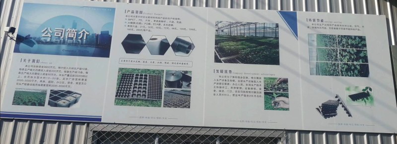 pet材料32，50，72，105穴，育苗穴盘，一手货源。