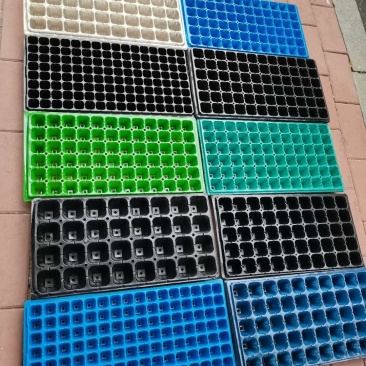 pet材料32，50，72，105穴，育苗穴盘，一手货源。
